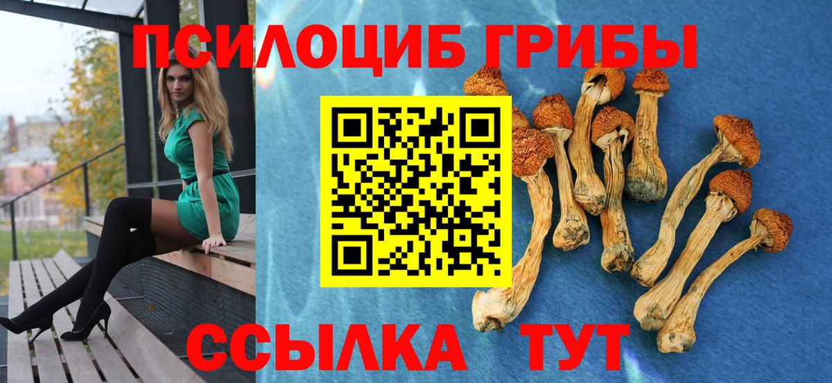 Псилоцибиновые грибы Psilocybe  Вход с VPN  Гусиноозёрск  Галлюциногенные грибы Magic Shrooms 