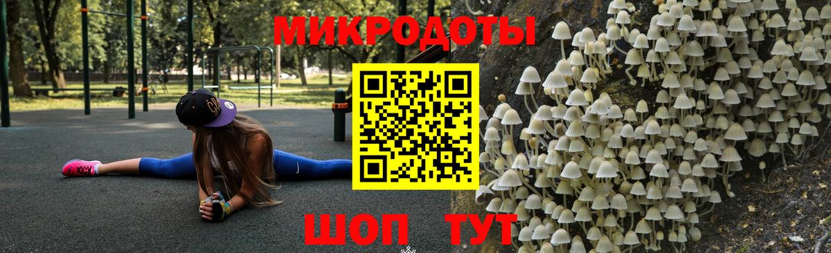 Псилоцибиновые грибы мицелий Гусиноозёрск